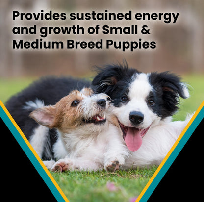 VICTOR Classic - Hi-Pro Small & Medium Breed Puppy, 15-lb