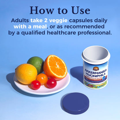 Vitalitown Akkermansia Probiotic GLP-1 with Chicory Inulin | 2 Billion TFU | Akkermansia Muciniphila Probiotics for Men & Women | Gut Health | Digestion | Non-GMO | 60 Veg Caps