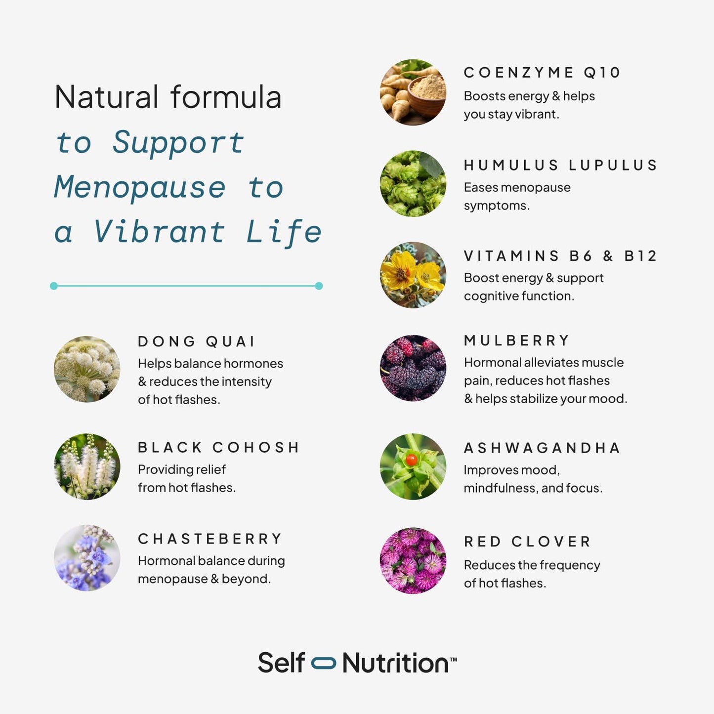 SELF NUTRITION Menopause Support for Women -All-Natural, Hormone-Free Perimenopause & Menopause Support. Unique Blend for Hot Flashes, Mood, Energy, Sleep & More. Vegan, Gluten-Free, 60 Capsules.