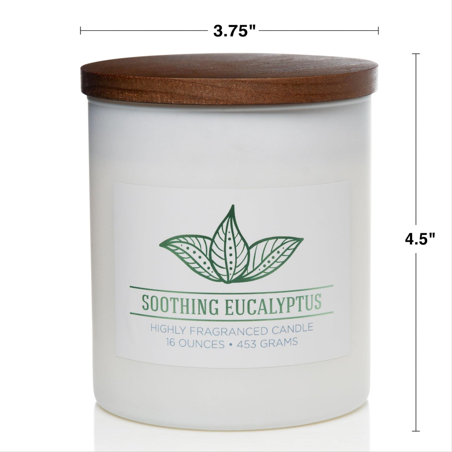 Carolina Soothing Eucalyptus Scented Candle, 16 oz Wellness Relaxing Aromatherapy Candle, 2 Wick White Jar Soy Blend Wax, Candles for Home, 60H Burn - Made in The USA