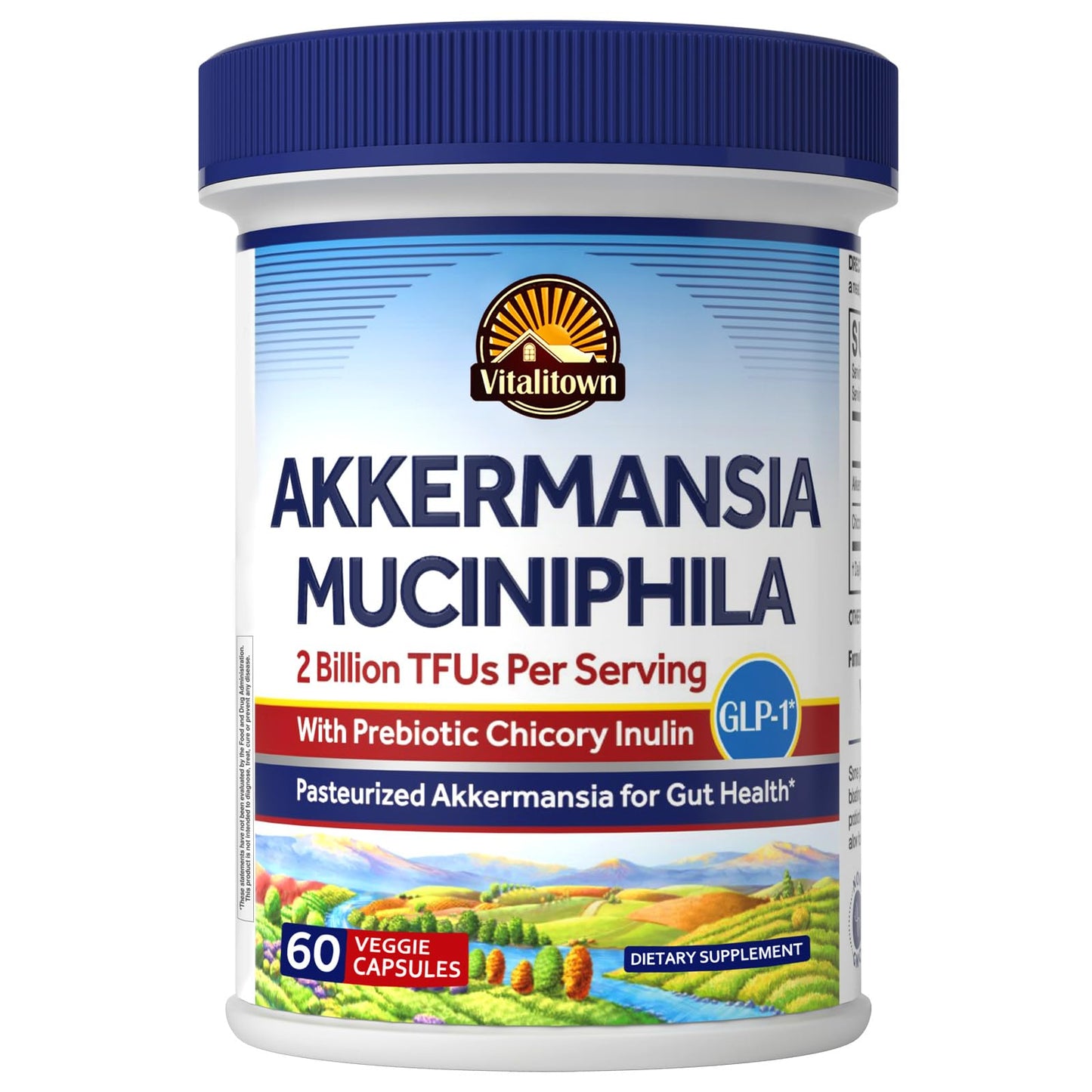 Vitalitown Akkermansia Probiotic GLP-1 with Chicory Inulin | 2 Billion TFU | Akkermansia Muciniphila Probiotics for Men & Women | Gut Health | Digestion | Non-GMO | 60 Veg Caps