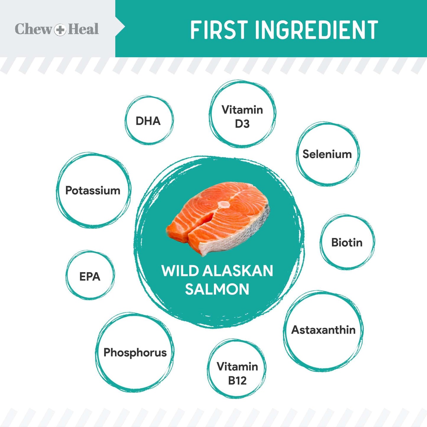 Chew + Heal Labs Probiotic Salmon Jerky Dog Treats - Wild Caught Alaskan Salmon Jerky for Digestive Health with Apples, Pumpkin, Pea Protein, and More - Made in The USA