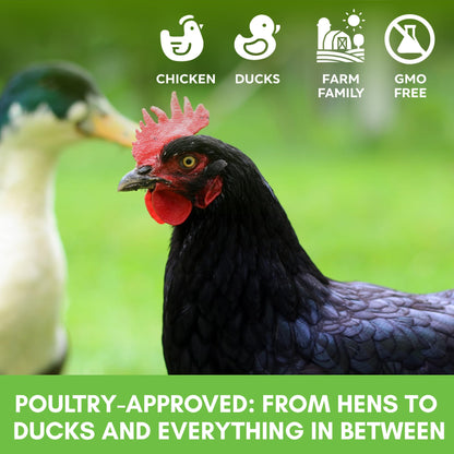 Farm Party Herbal Hootenanny Chicken Nesting Herbs 8oz - Chicken Dust Bath Mix Deodorizer Keeps Nest Boxes & Coop Fresh - Chicken Coop Herbs - Chicken Accessories for Coops
