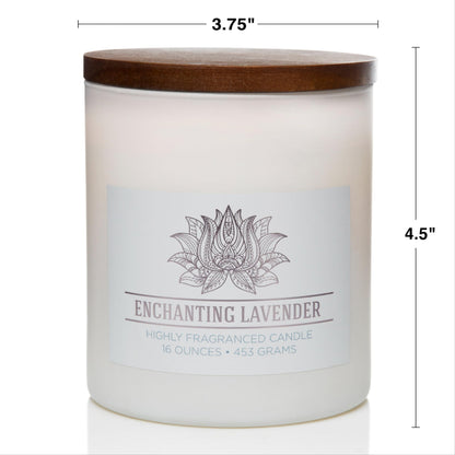 CAROLINA Enchanting Lavender Scented Candle, 16 oz Wellness Relaxing Aromatherapy Candle, 2 Wick White Jar Soy Blend Wax, Candles for Home, 60H Burn - Made in The USA