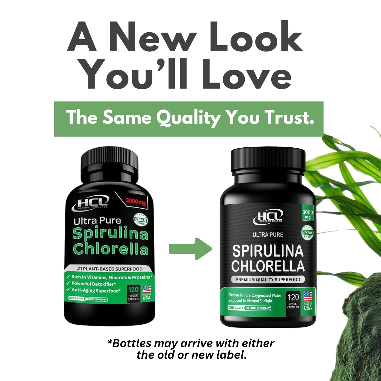 Chlorella Spirulina Powder Capsules Organic 3000 mg of BMAA Free Purest Blue Green Algae - Best Natural Detox Raw Vegan Vitamins Protein Green Superfood - Made in USA