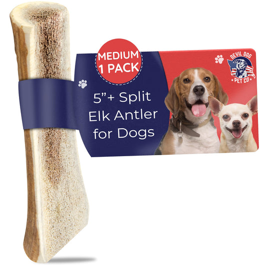 Devil Dog Pet Co. Split Elk Antlers for Dogs, Medium 5"+, 1 Pack, Grade A Long Lasting Chew for Aggressive Chewers, Premium USA Naturally Shed Antler – Healthy, No Odor, Durable Dog Chew