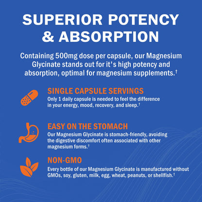Magnesium Glycinate - High Absorption Magnesium Supplement 500mg Per Serving for Stress Relief, Sleep, Heart and Bone Health, Nerve Support - Non-GMO, Gluten-Free, Gentle on Stomach, 240 Capsules