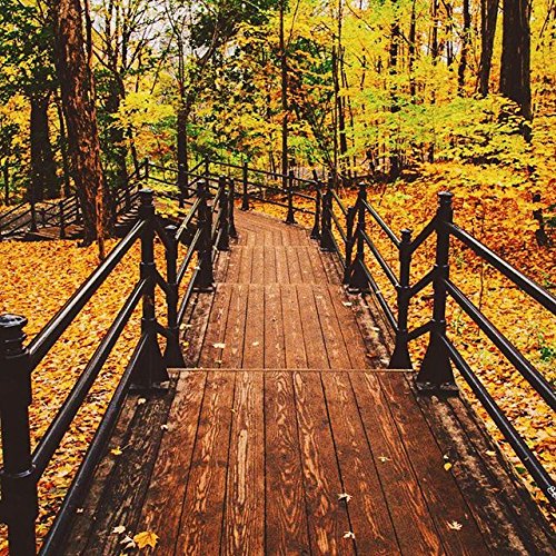 Natural Organic Deodorant Cream with Tangerine Spice Scent, Shea Butter and Coconut Oil, Aluminum Free Deodorant by Stinkbug Naturals, 1.7 Ounce