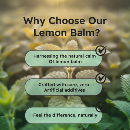 Just Plant Lemon Balm, 750 mg, 90 Vegan Capsules, Calming Herbal Support for Stress Relief, Calm Mood & Focus, Gluten-Free, GMP Certified