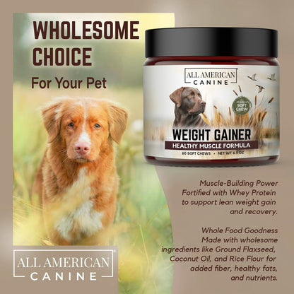All American Canine Dog Weight Gainer Chews – High Calorie Dog Food Supplement for Rapid Weight Gain, Mass, and Recovery – Appetite Stimulant – 60 Chews