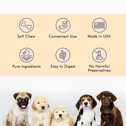 Pawfetto Advanced Daily Multivitamin Support for Dogs, Multi-Vitamin and Mineral Supplement with Essential Fatty Acids and Antioxidants, Vegetable Flavour, Perfect For Your Pampered Pet (60 Dog Chews)