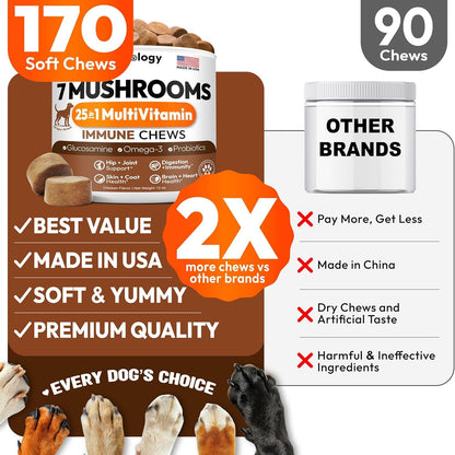 Turkey Tail Mushroom for Dogs - 170 Chews - Lion’s Mane - Shiitake - Reishi - Buddy Immune Support Guard - Mushroom Supplement for Dogs Lumps and Bumps Glucosamine, Health Vitamins Multivitamin