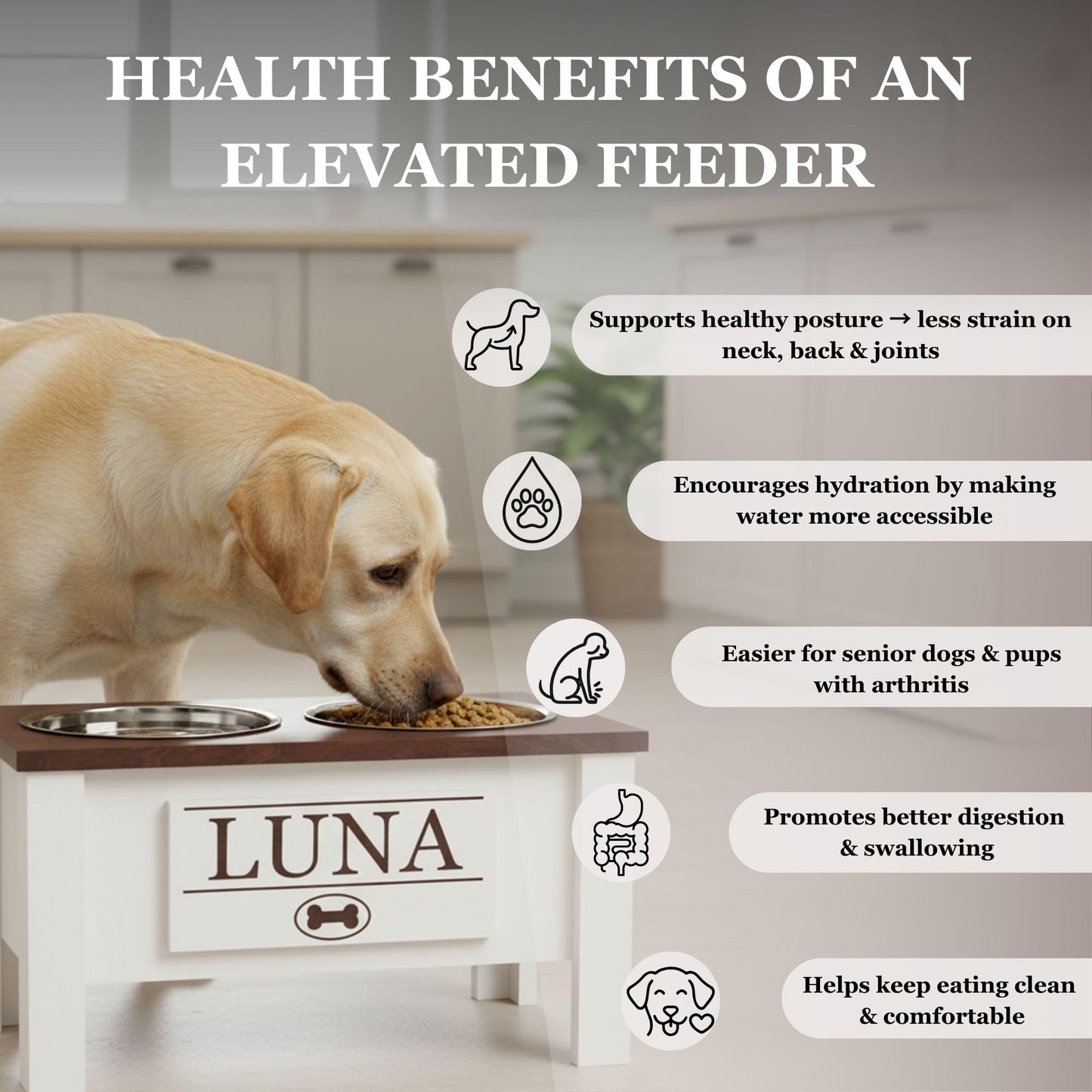 GTW Elevated Dog Bowl Stand for Very Small Dogs - Customized Feeding Station with Storage & Stainless Steel Food Bowls (X-Small, Black)