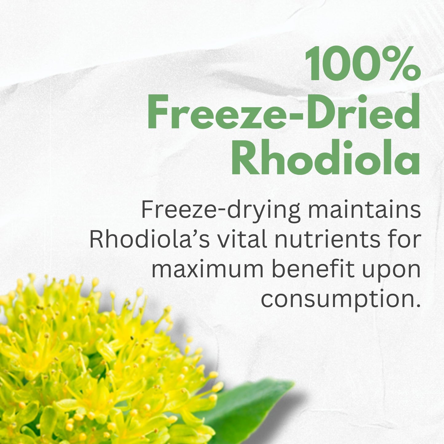 Rhodiola Rosea Supplement High Potency Extract 500mg - 3% Rosavins 1% Salidrosides with Ashwagandha Shisandra Passion Flower Herb Powder Capsules - Natural Way to Relieve Stress - Pills for Energy