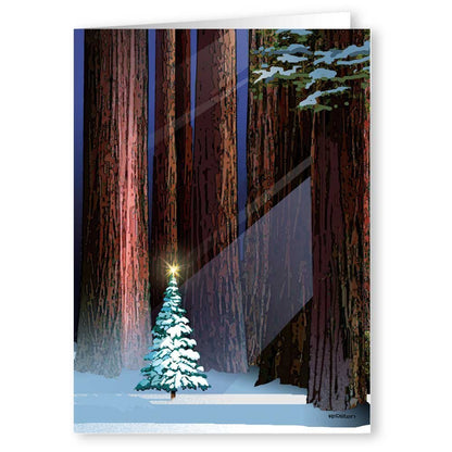 Stonehouse Collection |Christmas Tree in the Forest Holiday Card | 18 Christmas Cards & Envelopes | USA Made- Winter Holiday Forest (Standard)