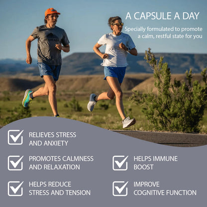 Immune Support Supplement Natural Herbal Cognitive Support Booster and Mushroom with Lion's Mane, Reishi Supplement for Memory Cognitive