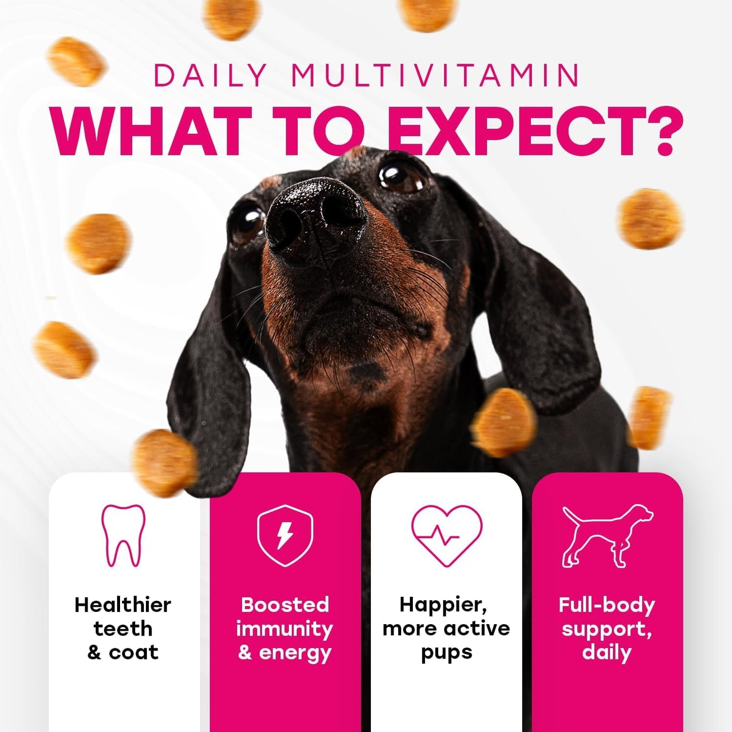 24-in-1 Complete Multivitamin Treats for Dogs - PhD Endorsed 8 Vitamins, Biotin, Probiotics, Glucosamine - Daily Wellness, Immunity, Skin & Coat, Mobility 140 Treats - Bacon Flavor - Made in USA