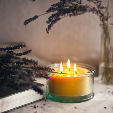 Bluecorn Botanica Beeswax Candle - 3-Wick Scented Candle Made with Pure Beeswax & Vanilla