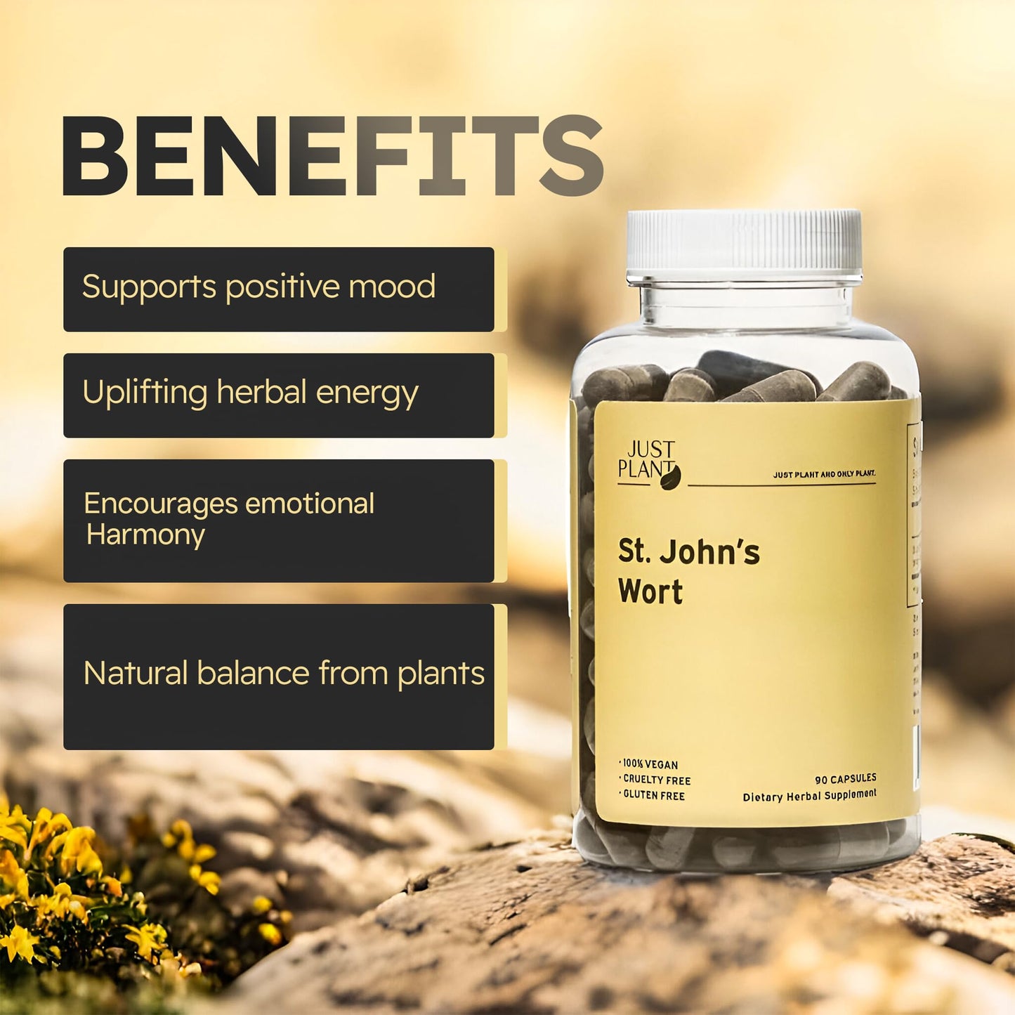 Just Plant St. John’s Wort Supplement 750 mg, 90 Vegan Capsules with Hypericum Perforatum Extract Herbal Mood & Stress Support Gluten-Free, Non-GMO