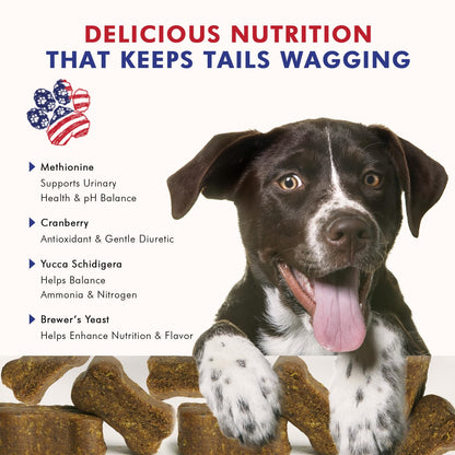 Pawfetto Advanced Lawn Support Supplement for Dogs, with Cranberry, Amino Acids, and Brewer’s Yeast, Easily Digestible, Chicken Liver Flavor, Perfect for Your Pampered Pet (70 Dog Chews)