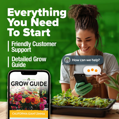 HOME GROWN Zinnia Seeds for 2025 - California Giant Mix - 7,300+ (2 oz) 𝗡𝗢𝗡-𝗚𝗠𝗢 𝗨𝗦𝗔 Plant Wildflower Blooms – Bulk Seeds for Planting Flowers Outside - Pollinator Gardens (Zinnia elegans)