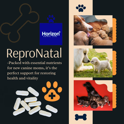 Canine Postnatal and Postpartum Vitamin Capsules for Dogs - 60-Day Supply- Aid in Full-Term Maternal Recovery, Improve Health After Birth -ReproNatal™ Dog Supplement