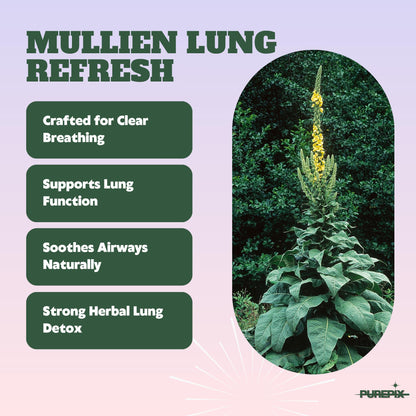 Mullein Pix, Extra Thick Flavored Toothpicks Infused with Mullein Leaf, Natural Quit Smoking Alternative, Lung Cleanse Support, Nicotine Free, Kosher Vegan, Made in The USA, (5 Variety Pack)