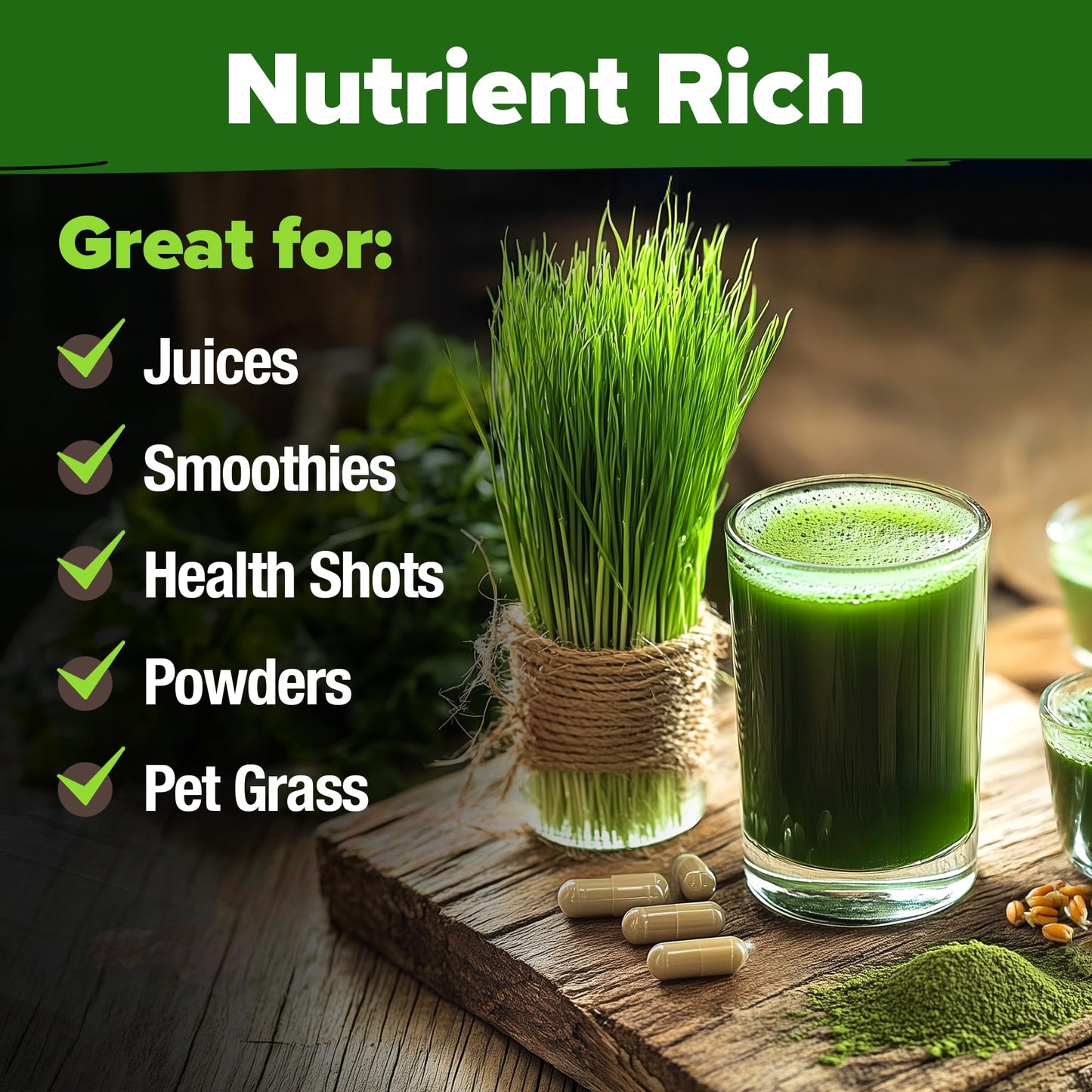 HOME GROWN 12,000+ Wheatgrass Seeds Bulk Pack(1.5 lb) 𝗡𝗢𝗡-𝗚𝗠𝗢 𝗨𝗦𝗔 Hard Red Winter Wheatgrass – Heirloom, Sprouting for Juicing, Microgreens, Smoothies & Indoor Gardening(Triticum aestivum)