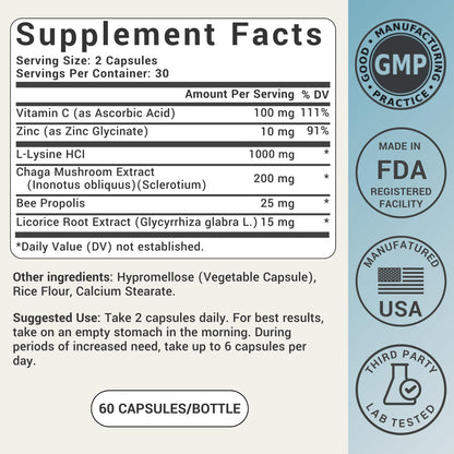 L-Lysine Cold Sore Treatment For Lips With Immune Support - L Lysine 1000mg Capsules, Chaga, Bee Propolis, Vitamin C, Zinc & Licorice Root Extract - Non-GMO, Vegetarian, 60 Capsules for Men and Women