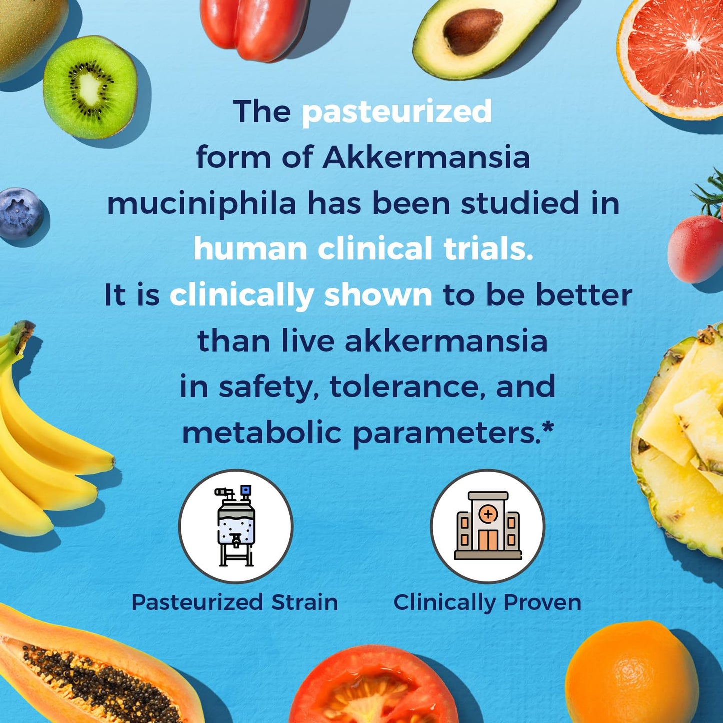 Vitalitown Akkermansia Probiotic GLP-1 with Chicory Inulin | 2 Billion TFU | Akkermansia Muciniphila Probiotics for Men & Women | Gut Health | Digestion | Non-GMO | 60 Veg Caps