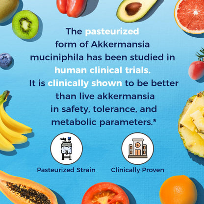 Vitalitown Akkermansia Probiotic GLP-1 with Chicory Inulin | 2 Billion TFU | Akkermansia Muciniphila Probiotics for Men & Women | Gut Health | Digestion | Non-GMO | 60 Veg Caps