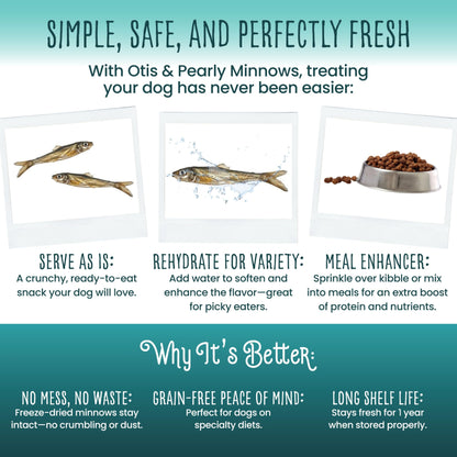 Otis & Pearly Freeze Dried Minnow Dog Treats - Single Ingredient, Made in USA - Healthy Protein Treat for Small, Medium, Large Breeds