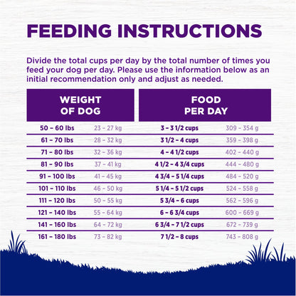 Wellness Complete Health Dry Dog Food, Wholesome Grains, Natural, Chicken & Brown Rice Recipe