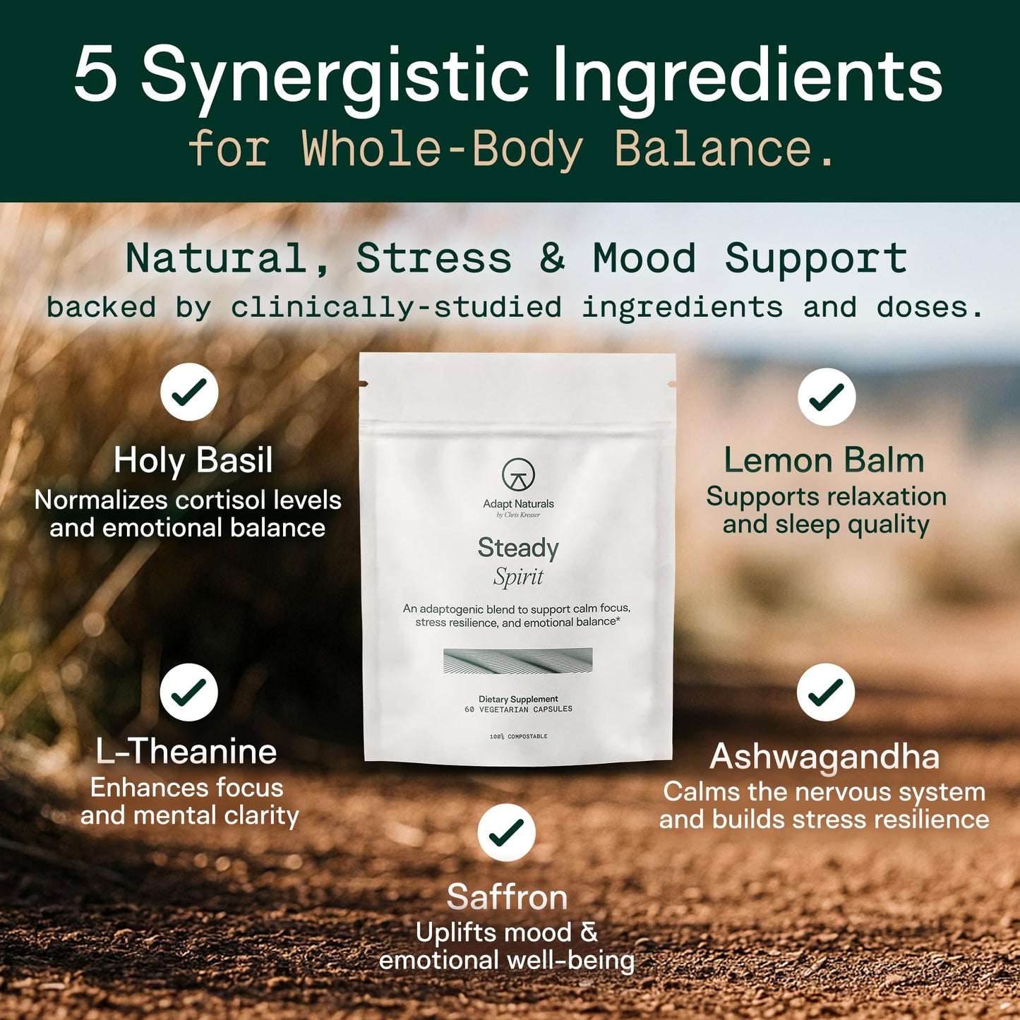 Adapt Naturals Steady Spirit Stress, Anxiety & Mood Support Supplement for Women and Men with Ashwagandha, L-Theanine, Holy Basil, Saffron, and Lemon Balm - Stress Relief Supplement - 60 Day Supply