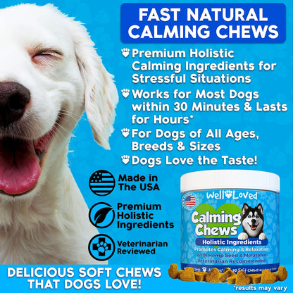 Well Loved Calming Chews for Dogs - Dog Calming Treats, Made in USA, Vet Developed, for Stressful Situations, Separation, Fireworks, Travel, Melatonin, Natural & Holistic, 90 Calming Treats