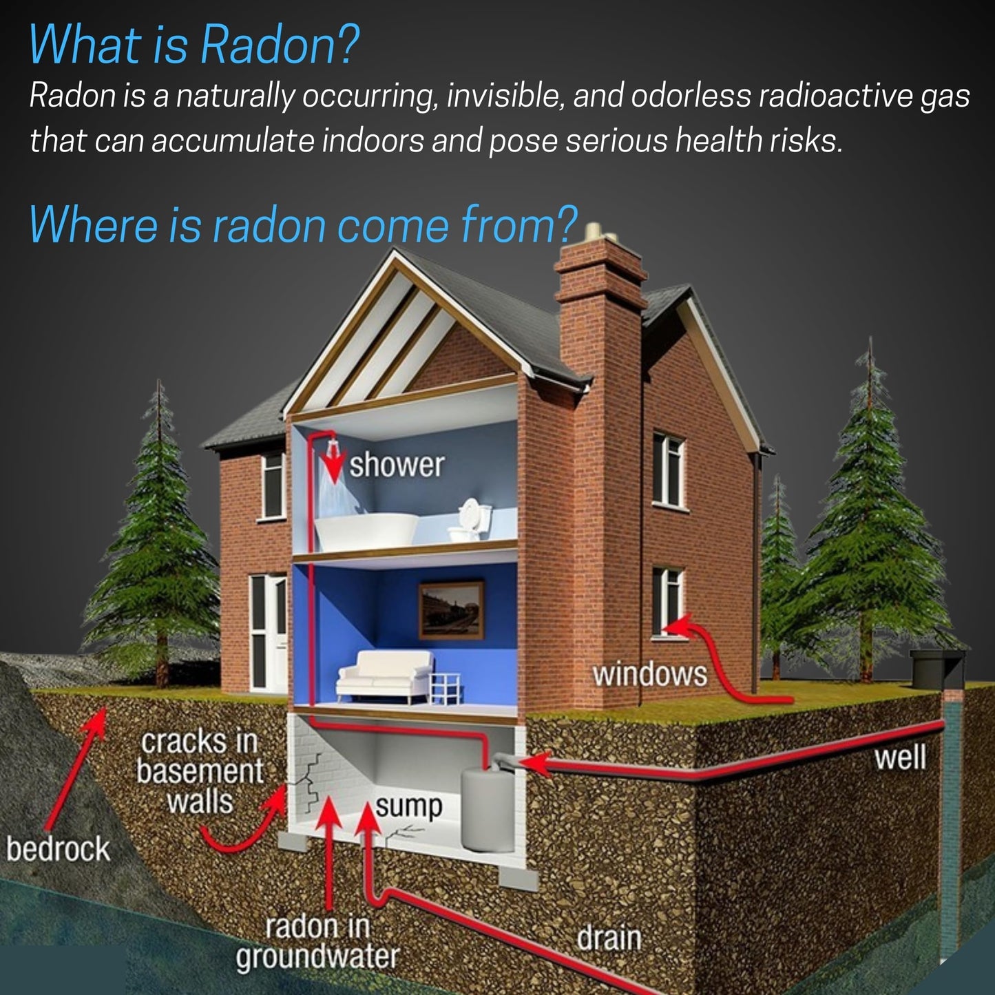 Safety Siren Pro4 Radon Detector – Continuous Radon Gas Monitoring for Home, Basement, Garage, Office & Commercial Use | Short & Long-Term Radon Detection | Made in USA, Since 1993