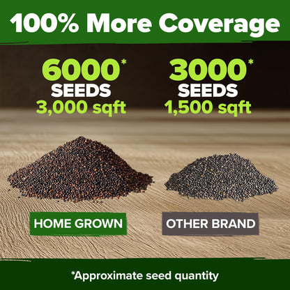 HOME GROWN American Legion Red Poppy Seeds - 6,000 Vibrant Wildflower Seeds for Planting Outdoors - Perennial Poppy Flowers - Memorial Garden & Pollinator Friendly (Papaver rhoeas)