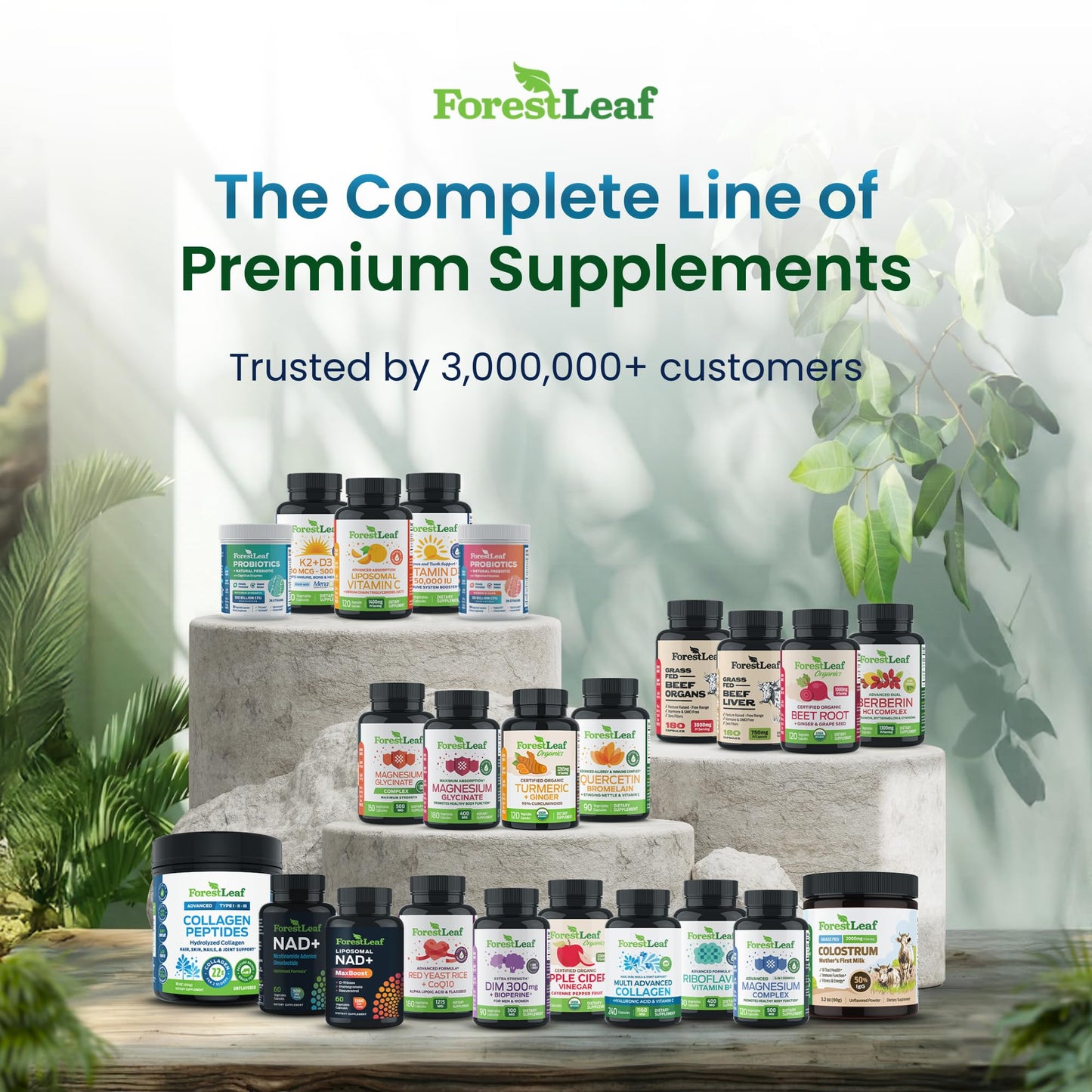 Thyroid Support for Women and Men with Iodine - Energy, Focus & Power Thyroid Supplement - All Natural Herbal Mineral and Vitamin Complex with B12, Zinc, Selenium, Ashwagandha - 60 Vegetarian Capsules