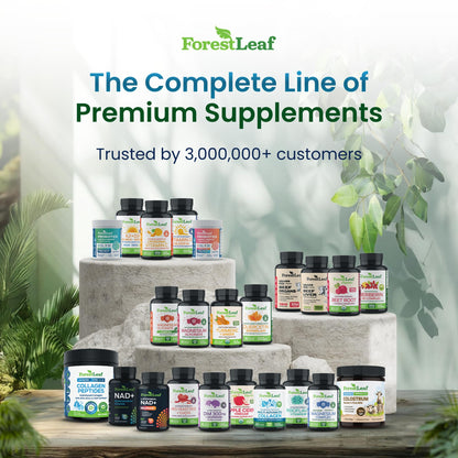 Thyroid Support for Women and Men with Iodine - Energy, Focus & Power Thyroid Supplement - All Natural Herbal Mineral and Vitamin Complex with B12, Zinc, Selenium, Ashwagandha - 60 Vegetarian Capsules