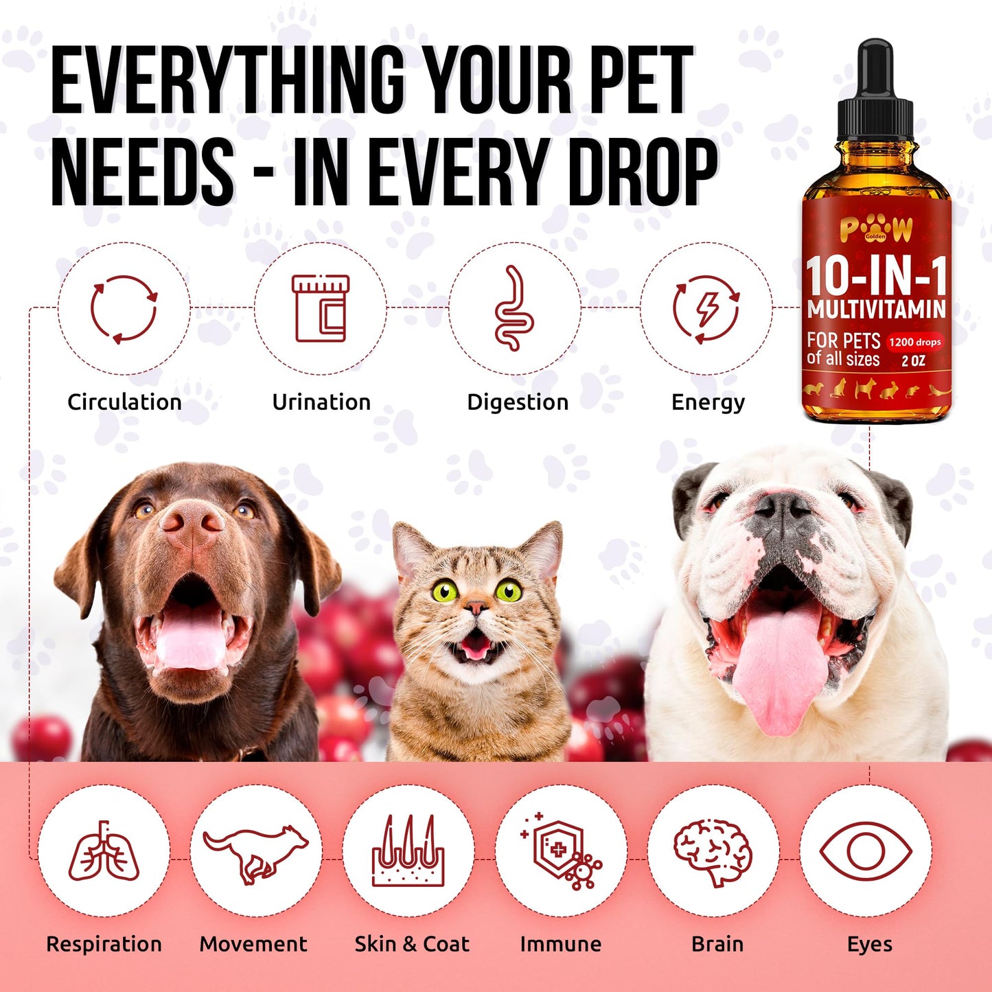 Cat Multivitamin B, C, & D3 – Liquid 10 in 1 Multivitamin for Dogs – Dog Vitamins and Supplements to Help with Allergies & UTIs – Cat Vitamins for Skin & Coat – Glucosamine for HIPS & Joints – 2 Oz