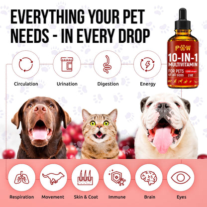 Cat Multivitamin B, C, & D3 – Liquid 10 in 1 Multivitamin for Dogs – Dog Vitamins and Supplements to Help with Allergies & UTIs – Cat Vitamins for Skin & Coat – Glucosamine for HIPS & Joints – 2 Oz