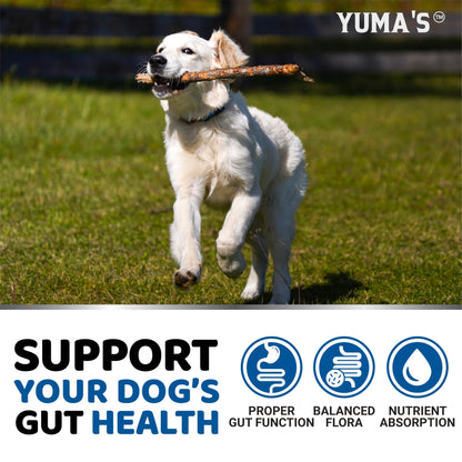 Probiotics for Dogs and Digestive Enzymes - Dog Probiotic - Anti Diarrhea, Upset Stomach & Gas Relief, Canine Prebiotic - Pet Fiber Supplement - Bacon Flavor