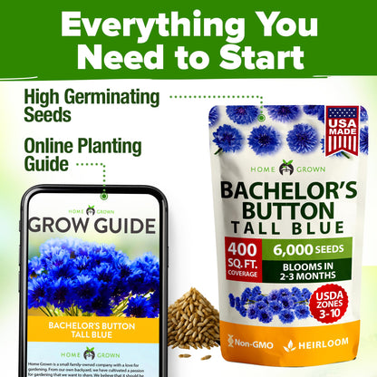 HOME GROWN Bachelor Button Seeds Tall Blue - 6000 Cornflower, Stunning Blue Blooms for Wildflower Gardens, Non-GMO Flowers & Pollinator-Friendly Spaces, Low Maintenance Flower Seeds (Centaurea cyanus)