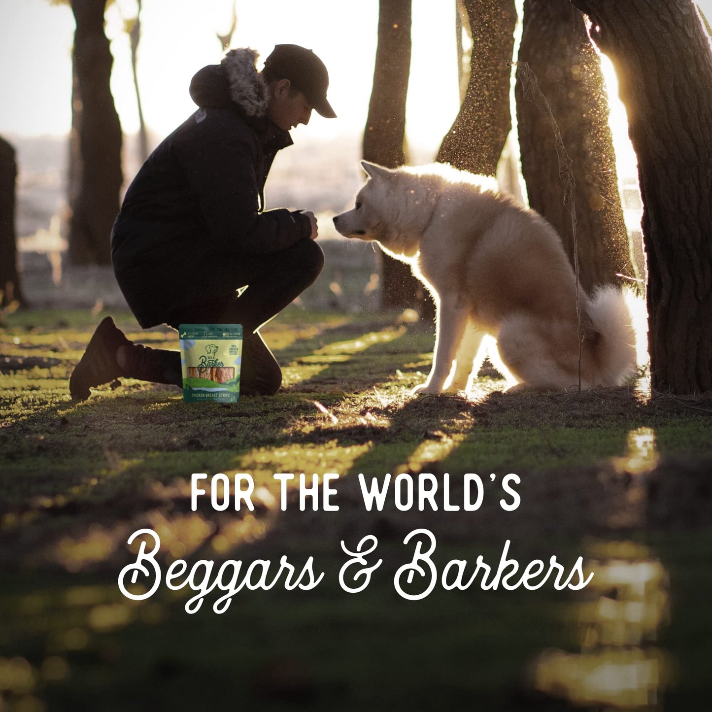 Beg & Barker Chicken Jerky for Dogs - Dog Training Treats - Natural Dog Treats Made in The USA - Grain Free, Diabetic-Friendly, High Protein, Sugar-Free (Chicken Dog Jerky)