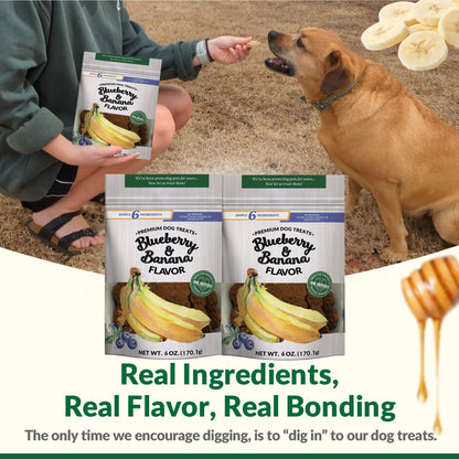 Dig Defence Premium Dog Treats - Blueberry and Banana, Natural Ingredients, Baked Gourmet Snacks for Small & Big Dogs, Healthy Training Treat, 2 Pack