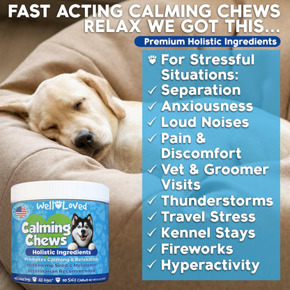 Well Loved Calming Chews for Dogs - Dog Calming Treats, Made in USA, Vet Developed, for Stressful Situations, Separation, Fireworks, Travel, Melatonin, Natural & Holistic, 90 Calming Treats