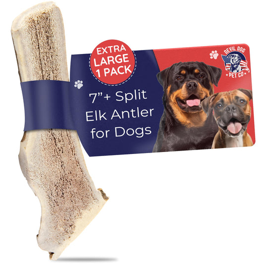 Devil Dog Pet Co. Split Elk Antlers for Dogs, Extra Large 7"+, 1 Pack, Grade A Long Lasting Chew for Aggressive Chewers, Premium USA Naturally Shed Antler – Healthy, No Odor, Durable Dog Chew