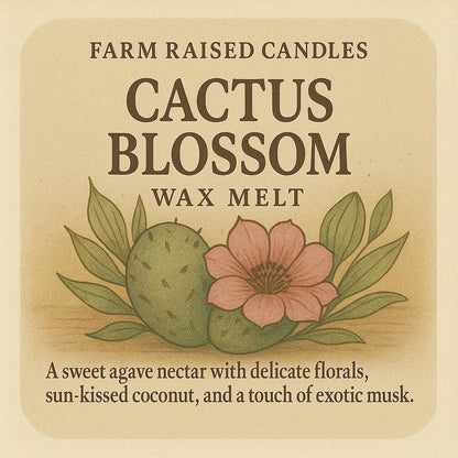 Farm Raised Candles Resort Soy Wax Melts Variety Pack – 5 Scents (16 oz Total) – Phthalate-Free, Made in USA – Includes Cashmere, Eucalyptus Zen, White Tea & Sage, Cactus, and Resort