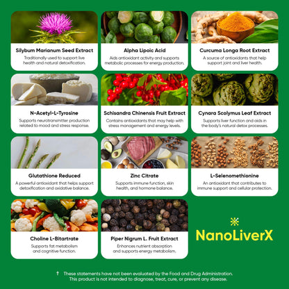 NANOREVIVE NanoLiverX - Nanoliposomal Silymarin Revitalized Liver Health Liquid Drops - Support Liver Cleanse Detox & Repair - Liver Supplement with Milk Thistle Silymarin Extract, Artichoke and More