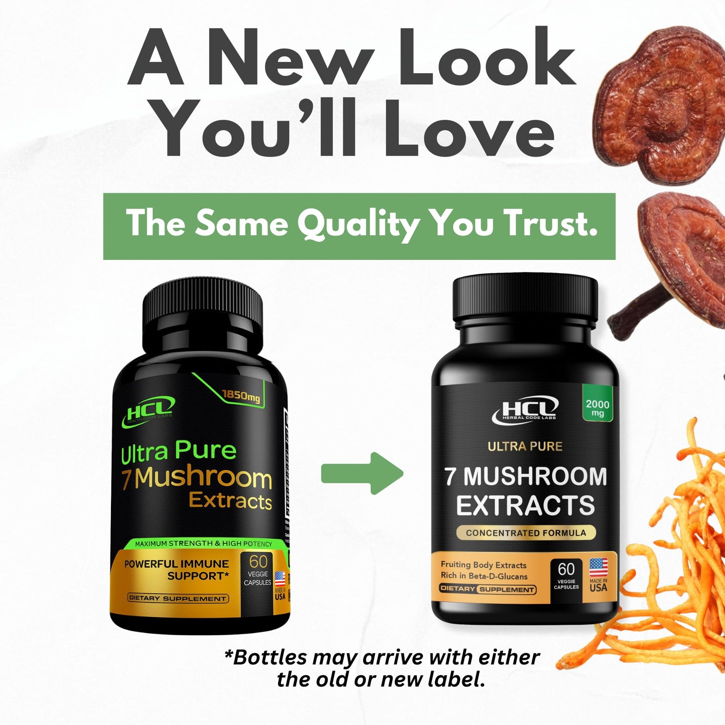 Mushroom Supplement Extracts of Lions Mane Cordyceps Chaga Reishi Turkey Tail Maitake Shiitake Capsules - Natural Vitamins Minerals Antioxidants Supplement - Made in The USA